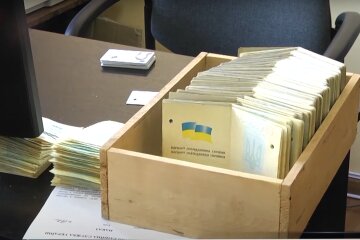 Оформление паспорта. Фото: скрин youtube