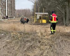 За добу вдалося вивезти понад 40 тисяч жінок та дітей з гарячих точок: "Працюємо далі"