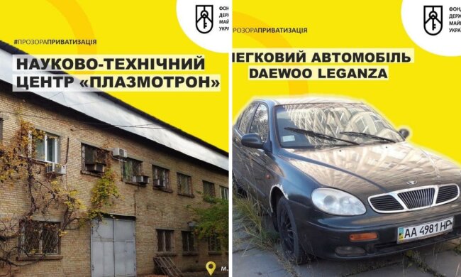 Мала приватизація у Києві