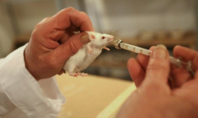 Знайдено найпростіший спосіб кинути палити