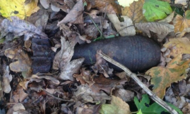 На Буковине вблизи железнодорожной станции нашли мину