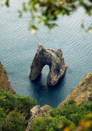 "Морський монстр" у Кара-Дагу / фото: Х