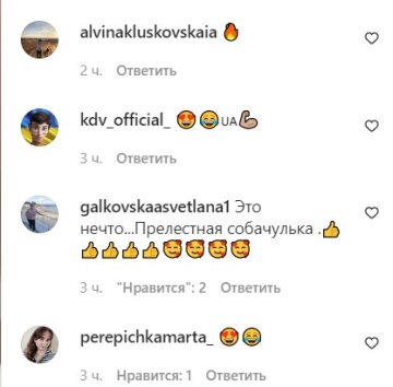 Скрин instagram