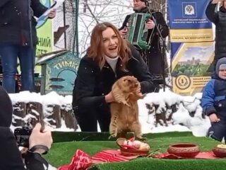 Скрін, відео YouTube День бабака