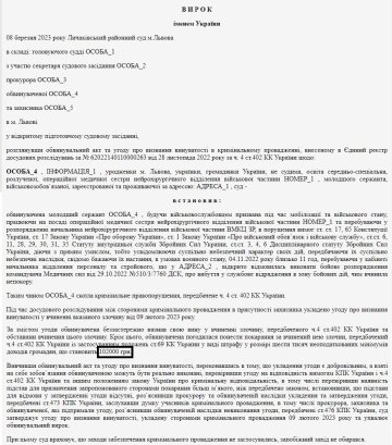 Штраф военной медсестры, скриншот: reyestr.court.gov.ua