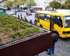 Презентация первой "зеленой" остановки во Львове (фото)