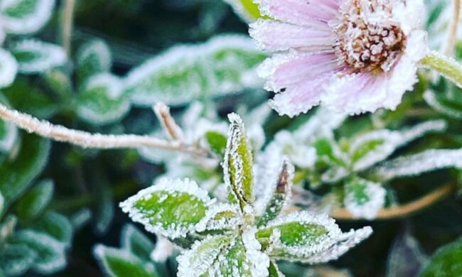 Морози вдарять у жовтні, взимку можливі бурани: синоптик приголомшив українців прогнозом