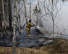 Пожежа на Київщині, фото з вільних джерел