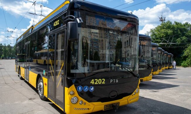 Петиція проти підвищення тарифів на проїзд у Києві