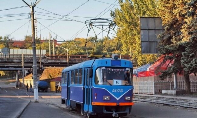 Пес без квитка став улюбленцем одеситів