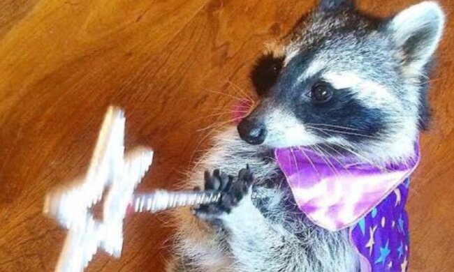 Знаки Зодіаку, фото: Pinterest