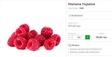 Ціни на малину. Фото: скрін fruit-time.ua