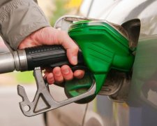 Махинации топливных магнатов вытащили из бюджета десятки миллионов