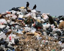 В Львовской области загорелись еще две свалки