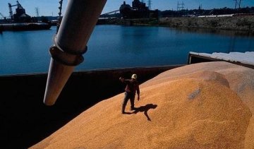  Половина експорту продуктів України йде в Азію