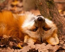 Дістали теплі речі? На які сюрпризи чекати від погоди