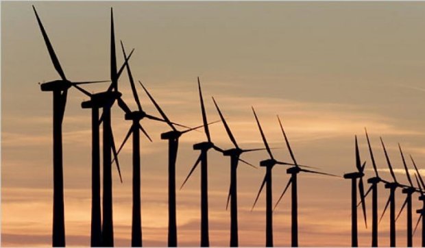 Ветряки за сутки "накрутили" полторы нормы электроэнергии Дании
