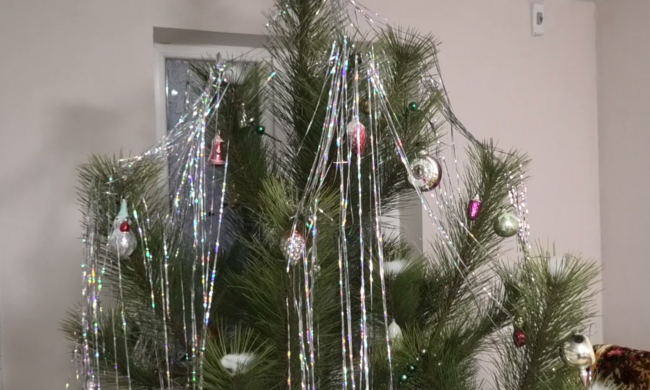 Новорічна ялинка, зображення із соцмереж