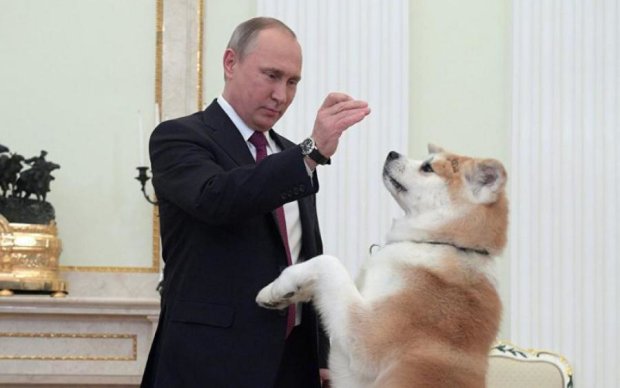 Путин снова влип в неприятную историю с собакой