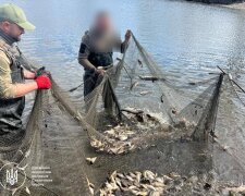 Золотая рыбка по-белоцерковски: фермер наловил браконьерским неводом ущерб на 6 миллионов