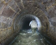 Фото: Андрій Риштун