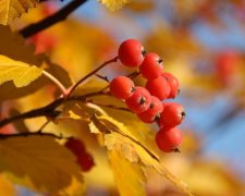 Осеннее равноденствие 2017: традиции и приметы 