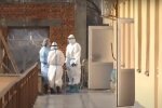 Медики, скріншот: YouTube