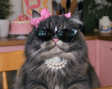 Гороскоп, изображение: Pinterest