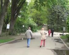 Весняна погода. Фото: скрін youtube