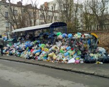 Щури і повна антисанітарія: жителі Львова масово скаржаться на сміття, кадри тотального свинства