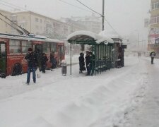 Франковск утонет в сугробах, зима устроит прощальную вечеринку 5 февраля