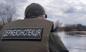 Госэкоинспекция