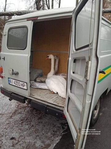 Фото: Чорнобильський Радіаційно-екологічний Біосферний Заповідник