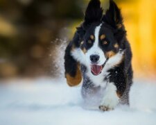 Погода в Україні, фото: 24 канал