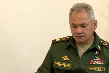 Сергей Шойгу, фото: скриншот из видео