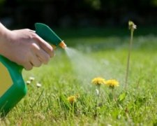 Винахідники знищують бур'яни світлом