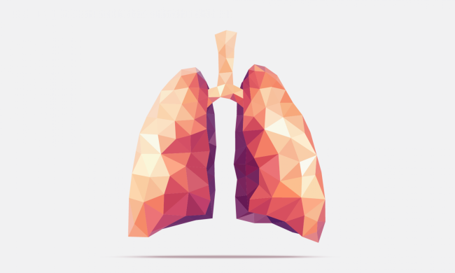 Велика іронія: вчені вперше "виростили" легені з тютюну