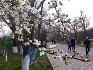 Прогноз погоди, фото: waves-ua.com
