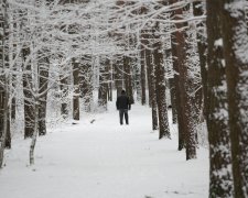 Погода на 9 січня: стихія змусить українців відчути всі фарби зими