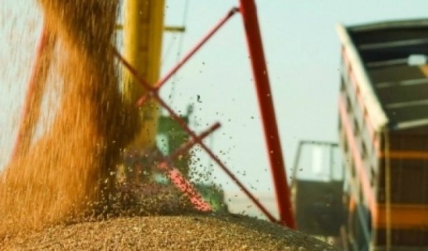 Україна імпортує навіть сільгосппродукцію