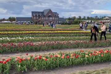 Добропарк, фото: скріншот з відео