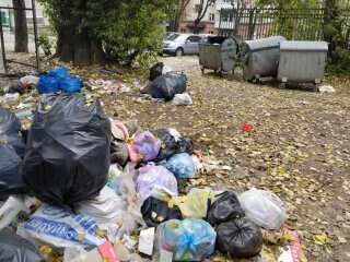 Звалище в Тернополі, фото: соціальні мережі