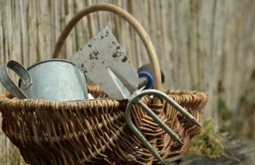 Огород, изображение из свободных источников