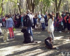 В Ужгороді стартувала виставка собак (фото)