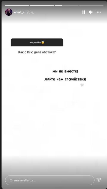 Скріншот сторіз Олександра Еллерта