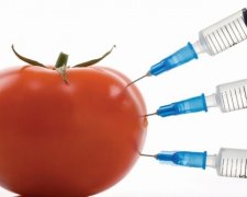 Чиновники разворовали оборудование для поиска ГМО