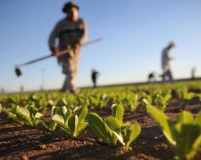 Вчені придумали, як врятувати світ від катастрофи