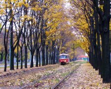 Погода у Харкові на 8 листопада: врятують тільки парасольки