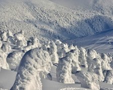 Шедеври зимової природи в Японії (фото)