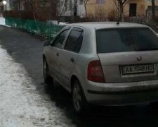 Герой парковки отжал тротуар у киевлян